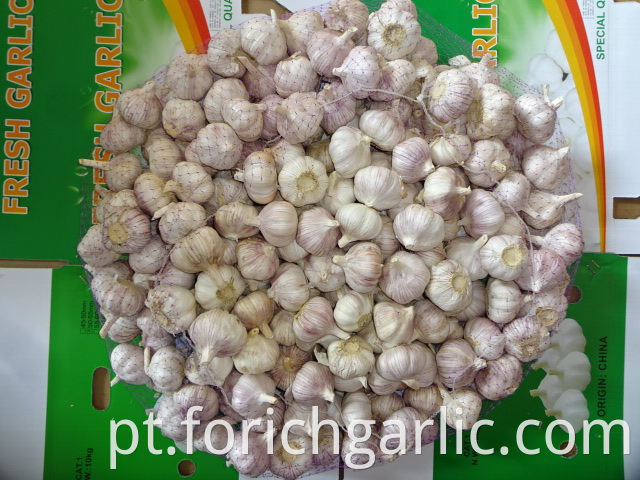 Crop 2019 Fresh Normal Garlic